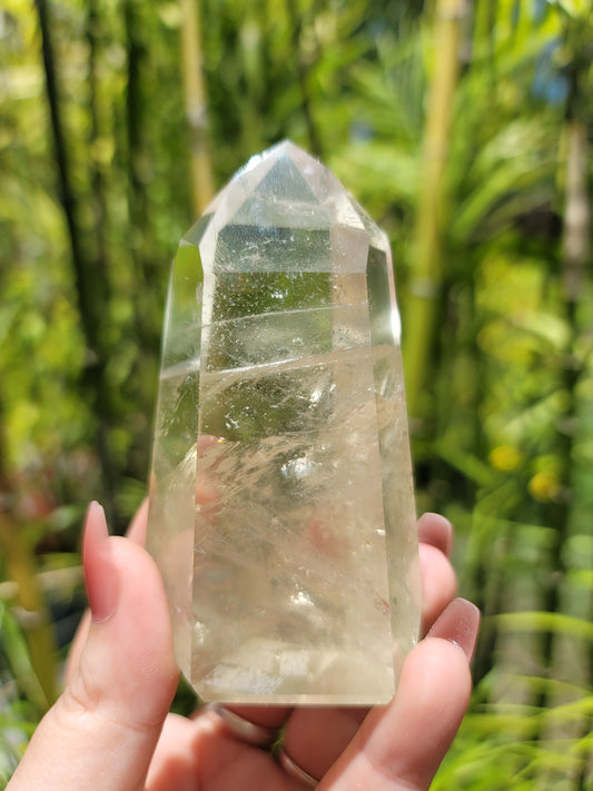 (B) High Quality Natural Citrine w/Black Tourmaline Tower from Brazil
